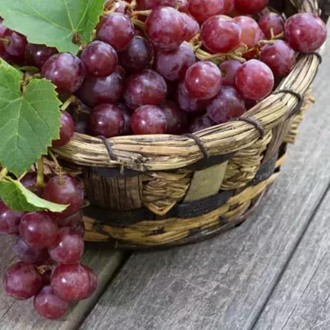 Natural Red Grape Vinegar Additive-free 100% Natural Fermented Organic Turkish product 500 ml
