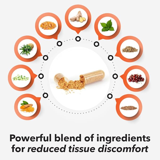 LifeSeasons Inflamma-X Joint &amp Tissue Support Supplement – Supports Muscle Comfort Recovery &amp Flexibility – Herbal Formula with Turmeric Bromlein Boswellia &amp Protease Enzymes – 60 Capsu