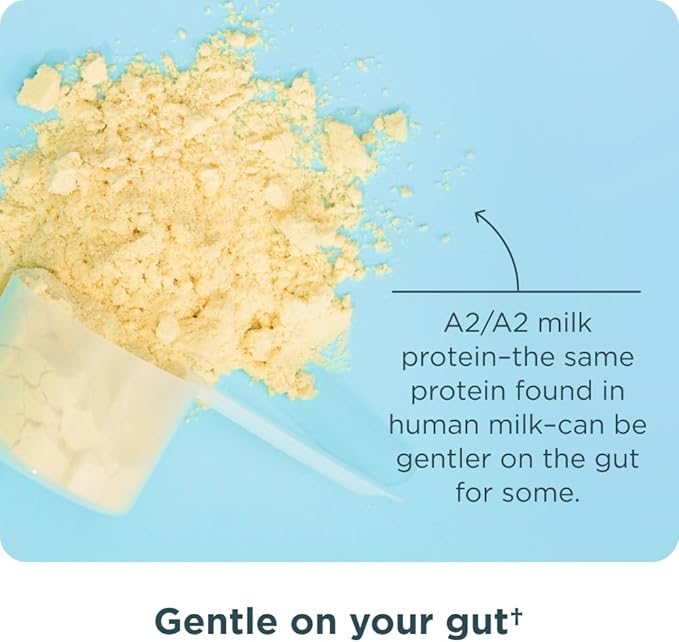 Ancient Nutrition Grass Fed Whey Protein 23g Protein Hydrolyzed Collagen Peptides Organic Regenerative A2/A2 Milk Protein (35 Servings Vanilla Bean)