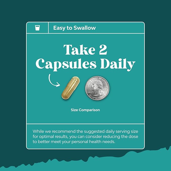 Bundle of Liver Support NAC - N Acetyl Cysteine with Antioxidants Turmeric Choline Dandelion &amp L-Glutathione and Nighttime Liver Detox &amp Hydration with DHM Dihydromyricetin Milk Thistle &amp