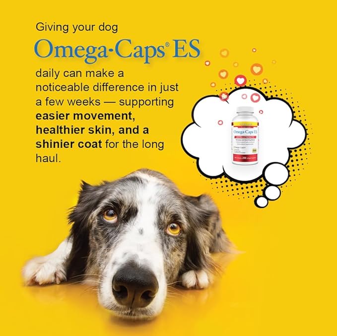 Omega-Caps ES for Large &amp Giant Dogs (250 Caps)