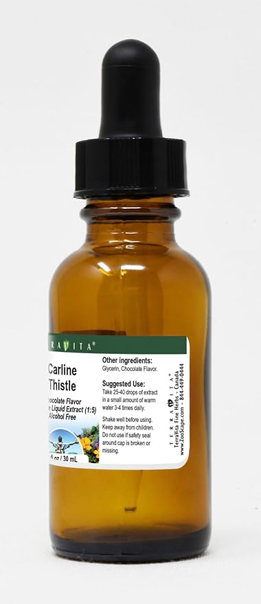 Carline Thistle Glycerite Liquid Extract (1:5) - Chocolate Flavored (1 oz ZIN: 523314) - 3 Pack