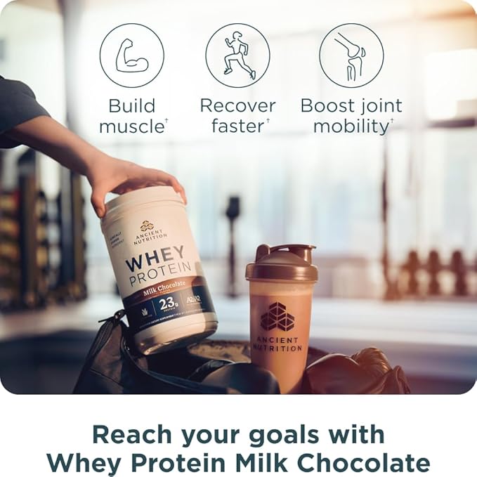 Ancient Nutrition Grass-fed Whey Protein Powder Milk Chocolate 20 Servings + Grass-fed Whey + Fat Loss Protein Powder Vanilla Cinnamon 20 Servings