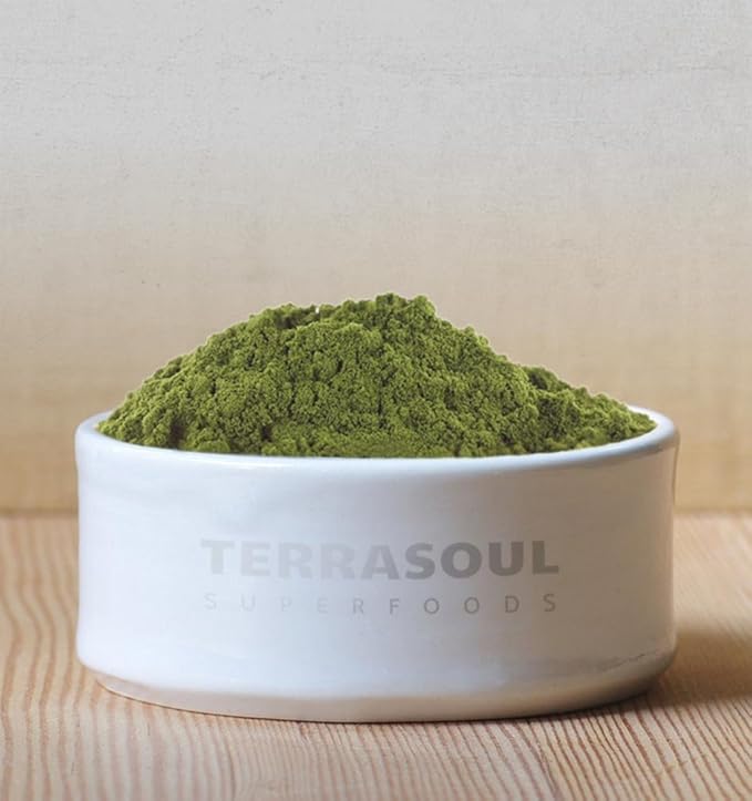 Terrasoul Superfoods Organic Hemp Protein Powder (50% Protein) 2 Pounds