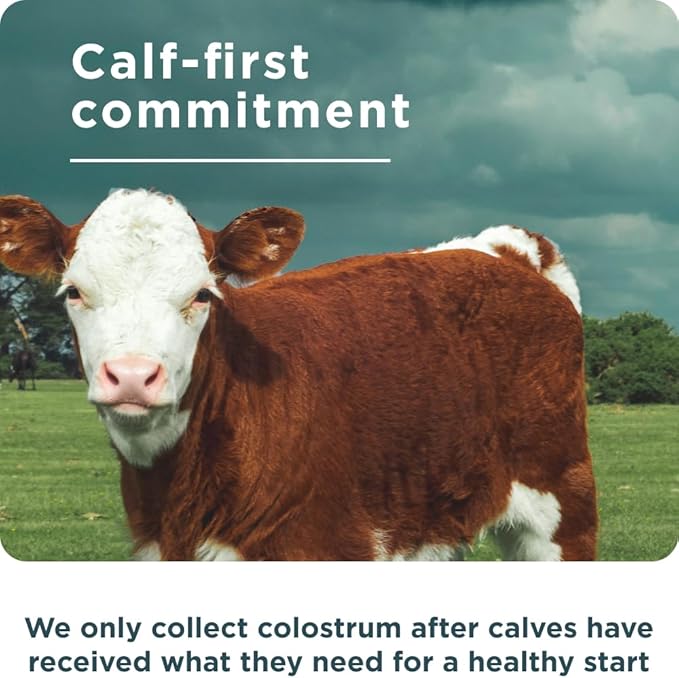 Ancient Nutrition Colostrum Superfood + Collagen Grass Fed Bovine Colostrum Fermented Eggshell Membrane Collagen Supports Healthy Gut Microbiome and Immune System 75 Count