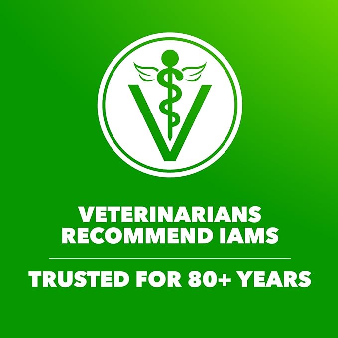 IAMS Proactive Health Adult Wet Dog Food Beef Peas and Carrots Recipe 3.5 oz. Pouch (16 Count Pack of 1)