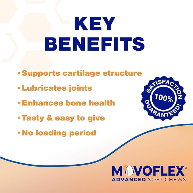 MOVOFLEX Advanced Soft Chews Hip and Joint Support Supplement for Large Dogs 120 Count by Virbac