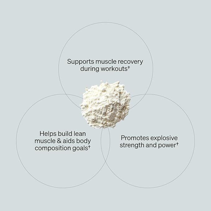 ONNIT Creatine Monohydrate Powder – Unflavored 90-Serving Value Size – Supports Strength Lean Muscle and Brain Energy† – Keto Friendly No Fillers 90 Servings 15.29 oz