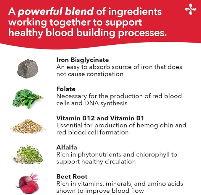 LifeSeasons Blood Nourish-R + B/P Stabili-T – Iron Deficiency &amp Blood Pressure Support Supplement Bundle – Supports Anemia Fatigue Paleness Dizziness Healthy Heart &amp Circulation- 60 &amp