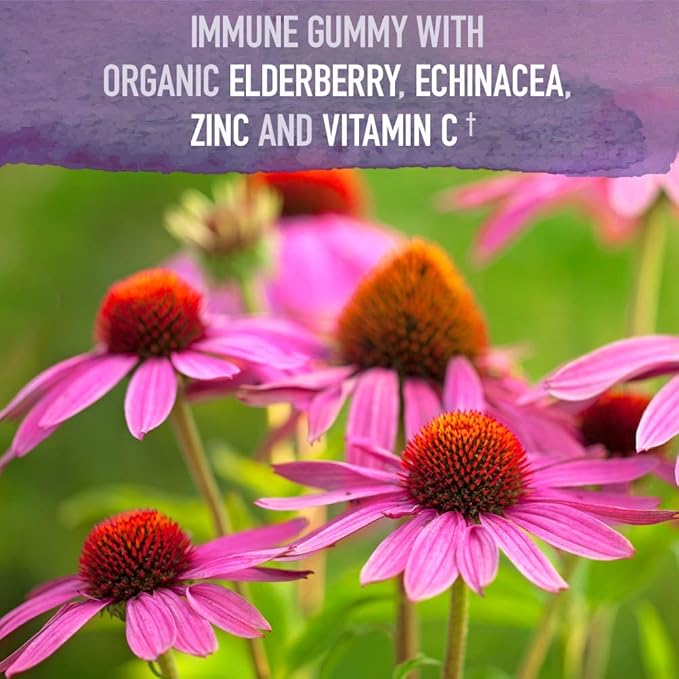 Garden of Life Grass Fed Collagen Powder Elderberry Gummies - Immune Support Hair Skin Nails Joints 120 Vegan Gluten Free Gummies