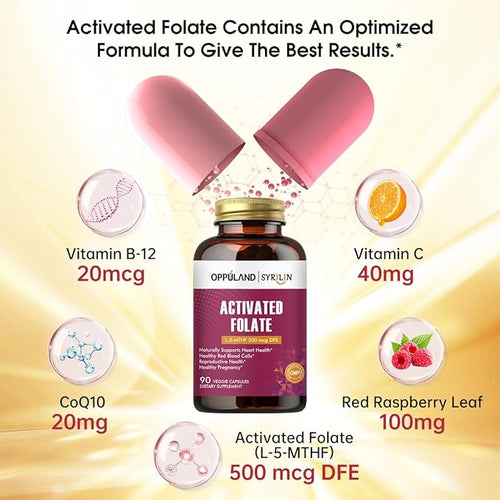 Activated Folate-L 5-MTHF DFE Supplement - Methylfolate B9 MTHF with Vitamin B12 CoQ10 &amp Red Raspberry - Methylated L-Methylfolate for Men and Women - 500 mcg - 90 Veggie Capsules