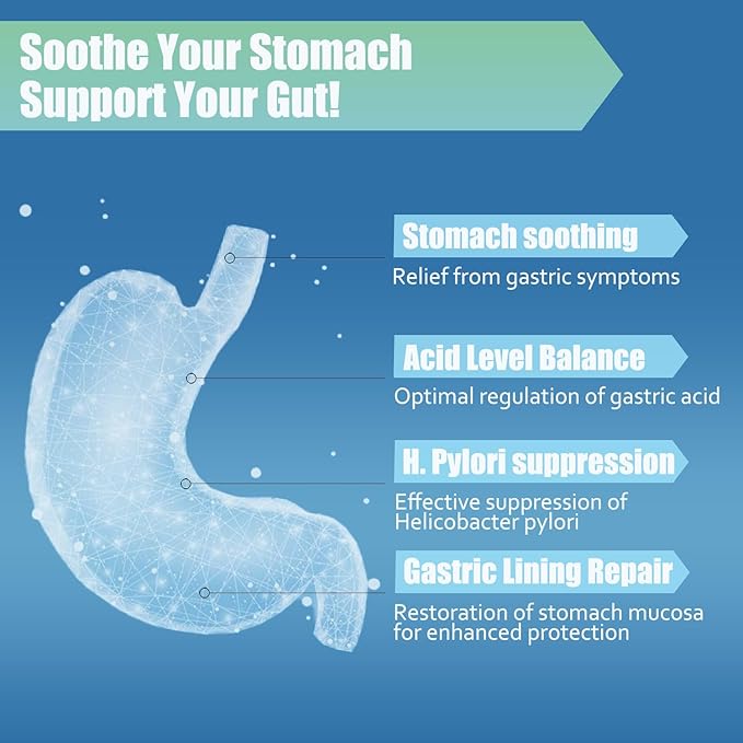 H.Pylori Support Probiotic 100 Billion CFU - Lactobacillus Reuteri Mastic Gum Berberine Zinc Carnosine Green Tea | Stomach Comfort &amp Gut Microbiome Care | Delayed-Release Vegan Capsules 120 C