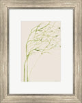 Thistle and Thatch by Kamdon Kreations Framed Art Print Wall Picture Silver Scoop Frame 16 x 20 inches