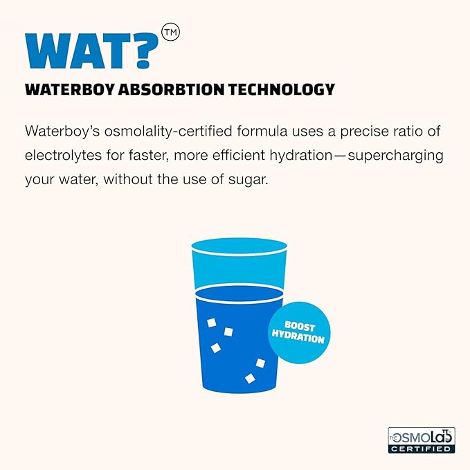Waterboy Weekend Recovery Sample Pack | 3200mg Electrolyte Powder Packets | Ginger + L-Theanine + Vitamins | No Sugar All Natural Gluten Free | 12 Drink Stick Mixes (Sample Pack)