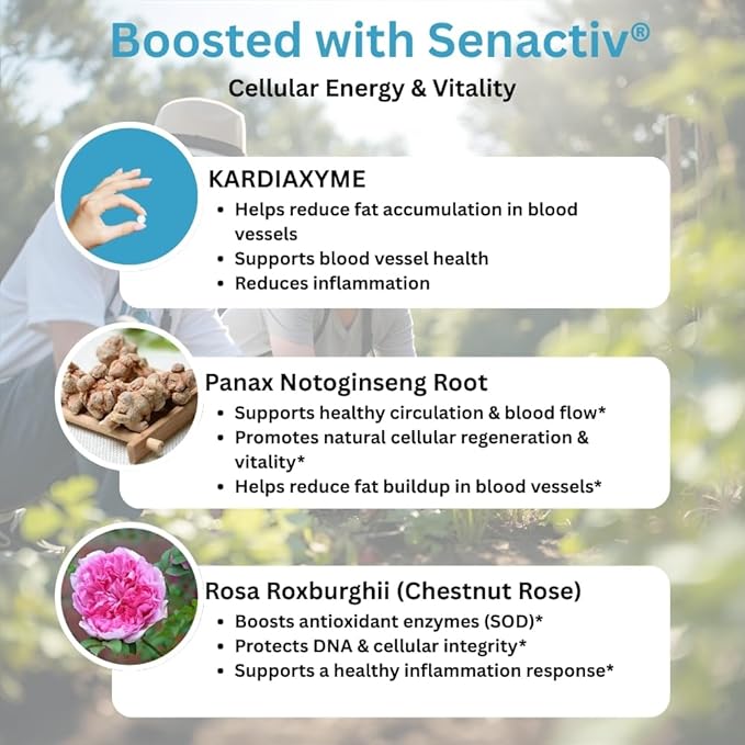 Xooma KardiaXyme Heart &amp Inflammation Support | Capros® Amla Extract + Senactiv® Polyphenol Complex | Antioxidant Circulation Cellular Vitality &amp Active Aging Supplement | 60 Capsules