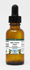 Milk Thistle Plant Glycerite Liquid Extract (1:5) - Vanilla Flavored (1 oz ZIN: 522734)