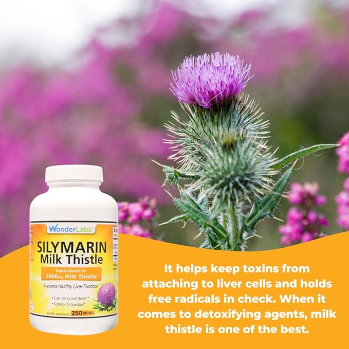 Wonder Labs Silymarin Milk Thistle Supports Healthy Liver Detox - 250 Capsules