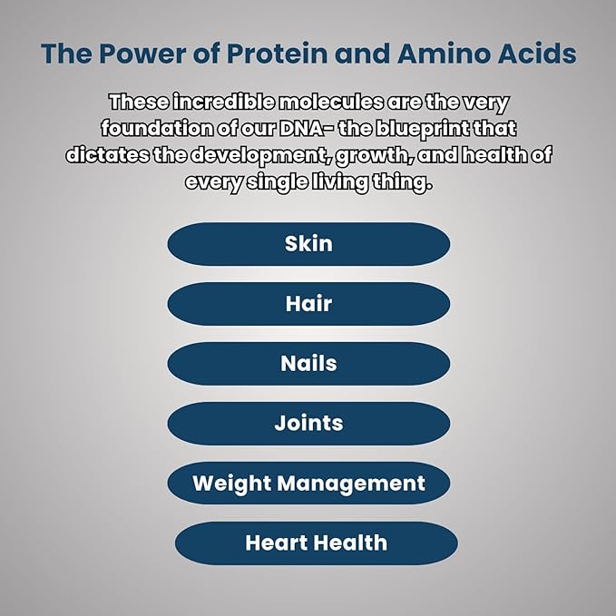 Plant Protein Chocolate Powder