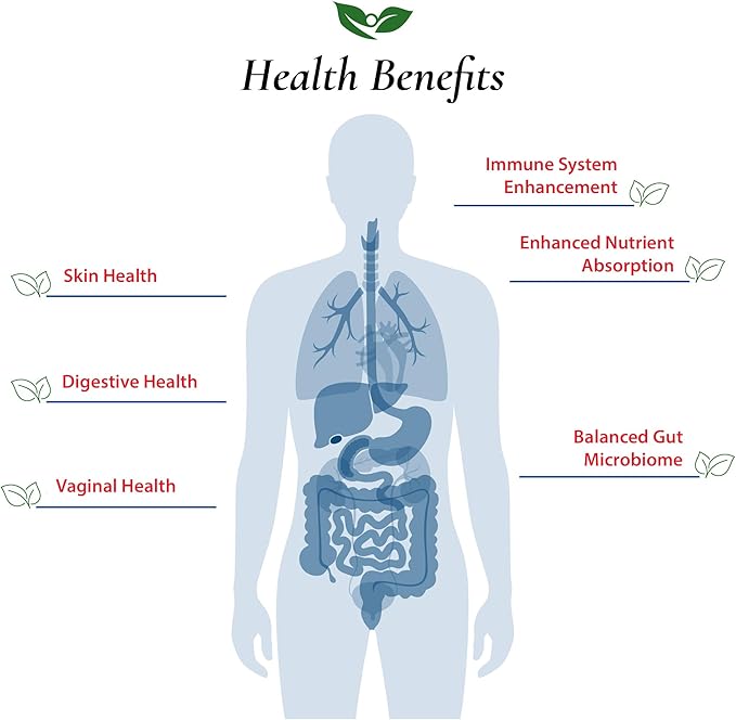 Foods For Gut Lactobacillus Gasseri Probiotic Powder 200 Billion cfu's | Made in USA | Weight Control | Promote a Well-Balanced microbiome | High Potency | L.Gasseri | 30 Grams (1.05 Oz)