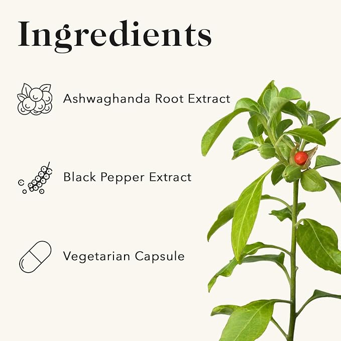 Ashwagandha with Piperine | 60 Capsules | Supports Brain Function Energy &amp Immune Function | Helps Encourage a Sense of Restfulness