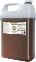 Milk Thistle Alcohol-Free Liquid Extract Milk Thistle (Silybum marianum) Dried Seed Glycerite Natural Herbal Supplement Hawaii Pharm 64 oz