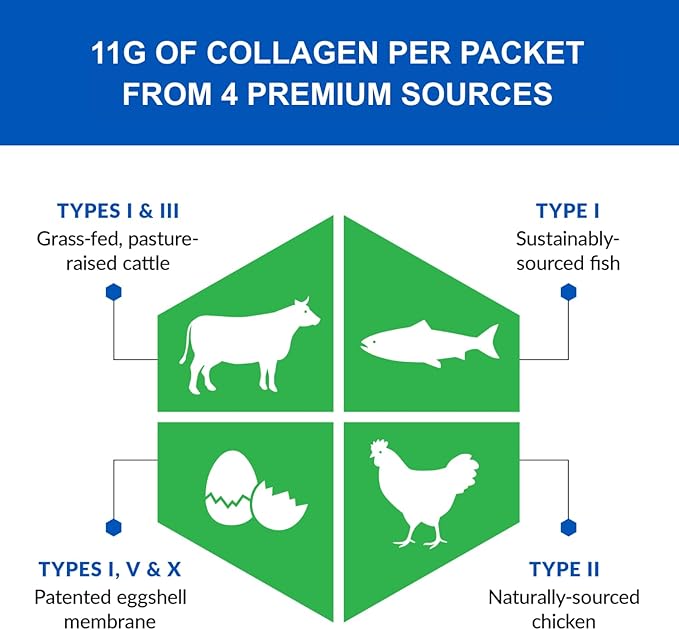 BioTrust Ageless Multi Collagen Peptides Powder – Types I II III V X – Unflavored Collagen Powder for Women &amp Men – Hydrolyzed Protein– Grass Fed Beef Fish Chicken Eggshell Membrane(16 pack