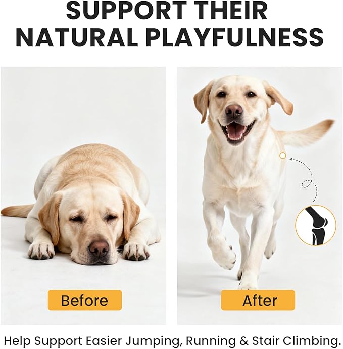 Dog Hip and Joint Supplement with Glucosamine &amp Chondroitin - Supports Mobility &amp Pain Relief for Senior &amp Large Dogs - 180 Soft Chews