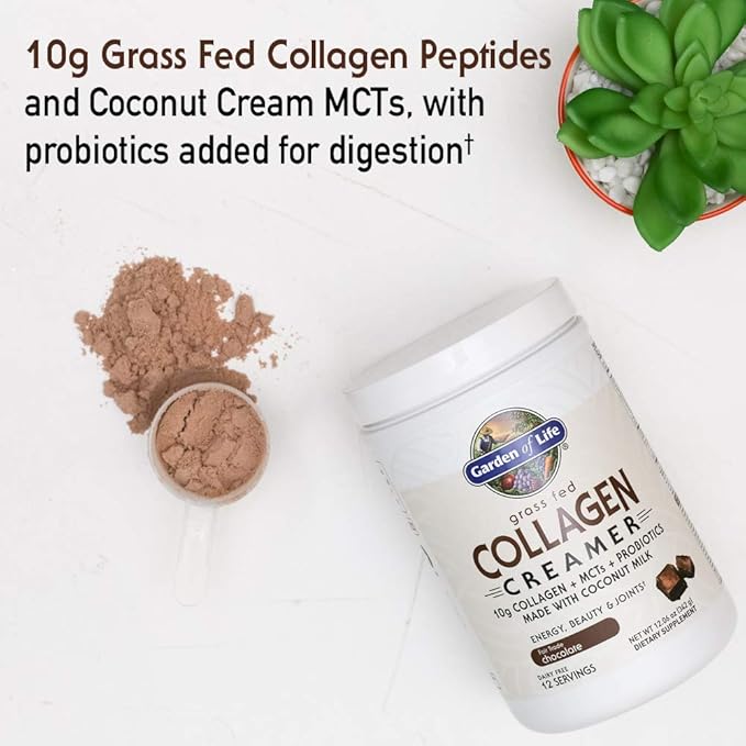 Garden of Life Grass Fed Collagen Creamer Powder - Chocolate 12 Servings Powder for Coffee Energy Beauty Joints Collagen Peptides with Coconut MCTs Keto Protein Supplements