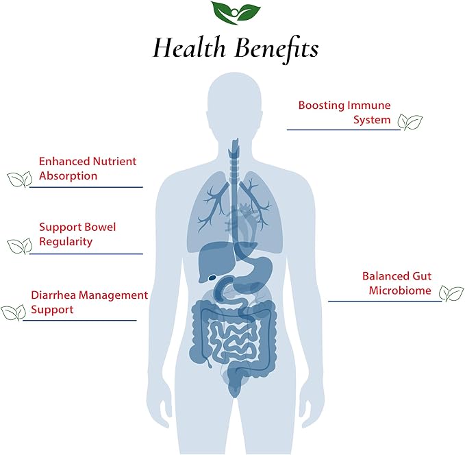 Foods For Gut Bacillus Subtilis Probiotic Powder 200 Billion cfu's | No Additives | Direct from Manufacturer | No Third-Party Storage | Digestive &amp Immune Support | B. Subtilis | 60 Gram (2.11 Oz)