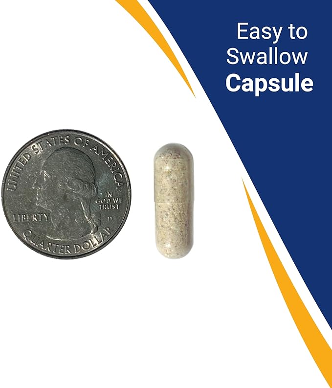 Building Blocks Multiple Vitamin Capsule for Bariatric Patients 90 Count 30 Day Supply