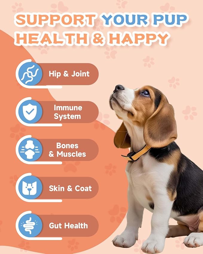 Collagen for Cats &amp Dogs - Liquid Grass Fed Collagen for Cat &amp Dogs - Hip &amp Joint Skin &amp Coat Digestive Function - with MSM Hyaluronic Acid Biotin - Roast Chicken Flavor