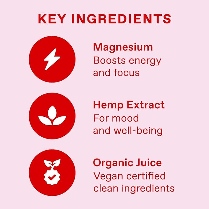 VYBES Strawberry Lavender Hemp Infused Mood Boosting Magnesium Supplement Drink | Functional Mind &amp Body Beverage | Certified Vegan &amp Organic | Bottled in California | 14 Ounces | Pack of 12