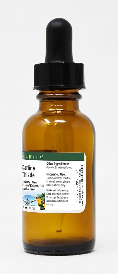 Terravita Carline Thistle Glycerite Liquid Extract (1:5) - Strawberry Flavored (1 oz ZIN: 523312) - 3 Pack