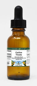 Terravita Carline Thistle Glycerite Liquid Extract (1:5) - Chocolate Flavored (1 oz ZIN: 523314)