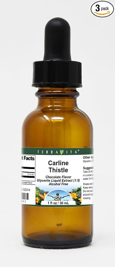 Carline Thistle Glycerite Liquid Extract (1:5) - Chocolate Flavored (1 oz ZIN: 523314) - 3 Pack