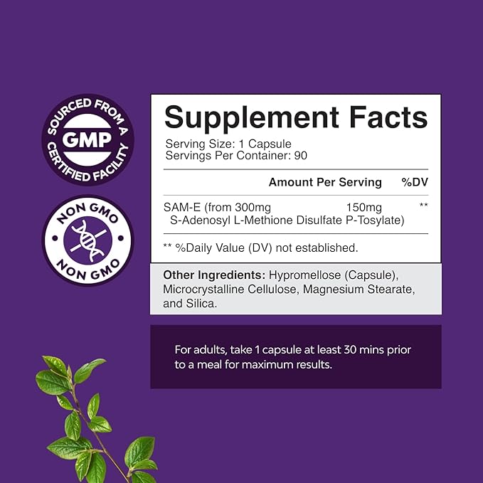 Bundle of Nootropic Memory Supplement for Brain Support - Vitamin B 12 Bacopa Monnieri Rhodiola Rosea DMAE Ginkgo Biloba and Pure SAM E Supplement 150mg - Nootropic Same 150mg Per Serving for Memory