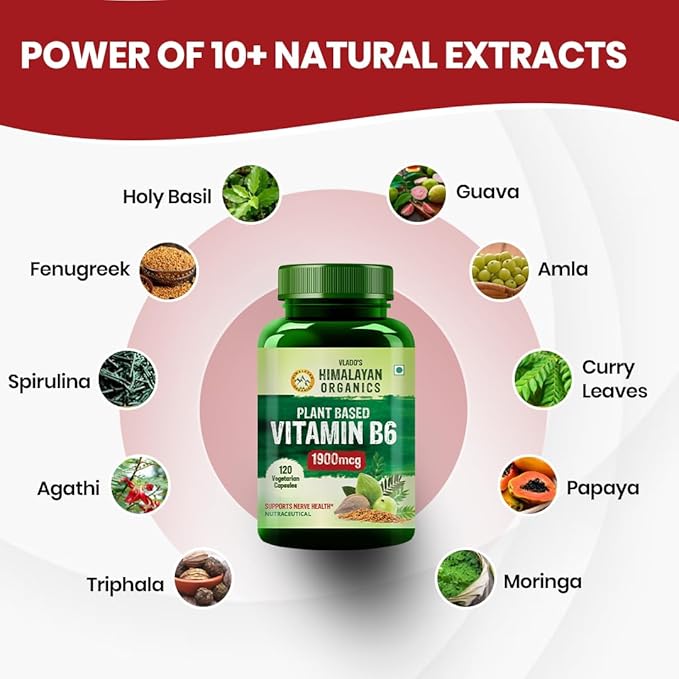 Himalayan Organics Organics Plant-Based Vitamin B6 | Supports Immunity Brain Health (120 Capsules)