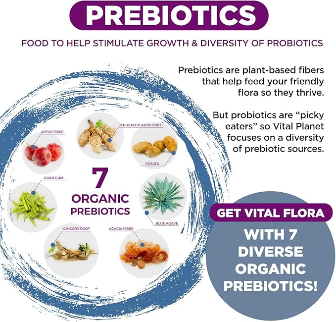 Vital Planet - Vital Flora Probiotics for Women Over 55 Daily Shelf Stable Probiotic 60 Billion CFU 60 Diverse Strains 7 Organic Prebiotics Immune Support and Digestive Health 30 Capsules