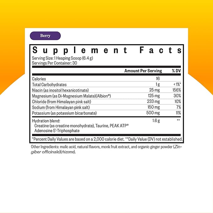 Seeking Health Optimal Electrolyte Powder - Electrolyte Powder with Sodium &amp Potassium - Support Digestion &amp Energy with Magnesium Electrolyte Supplement - Berry 30 Servings