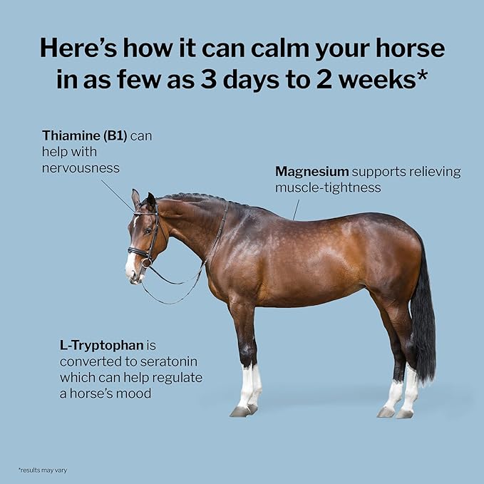 Formula 707 Calming Equine Supplement Daily Fresh Packs – Enhanced Focus for Horses – L-Tryptophan Thiamine &amp Magnesium