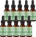LOVITA 10 Bottles Value Pack Bee Propolis Liquid Extract 500mg 5:1 Resin Drops with 18% Bioflavonoids Alcohol-Free Antioxidant Immune Support &amp Throat Soothing