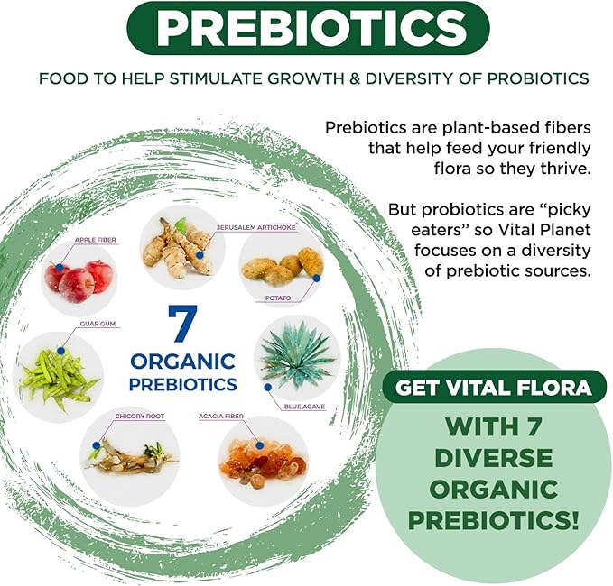 Vital Planet - Vital Flora Adults Over 55 Daily Probiotic 60 Billion CFU Diverse Strains Organic Prebiotics Immune and Digestive Health Shelf Stable Probiotics for Women and Men 60 Capsules