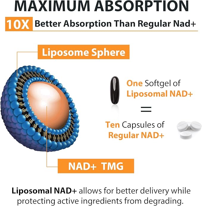 Orgabay Liposomal NAD+ Supplement 500 mg High Absorption Boost NAD+ with TMG 250 mg Actual NAD Plus More Efficient Than Nicotinamide Riboside Support Cellular Energy Healthy Aging | 60 Softgels