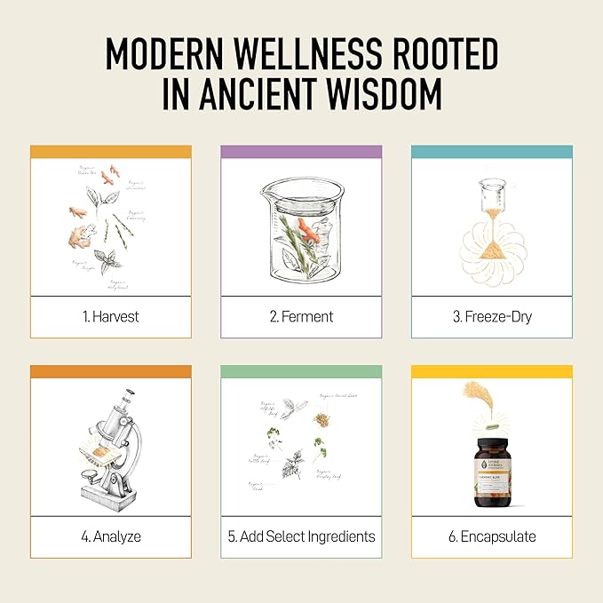 Living Alchemy Turmeric &amp Ginger Supplement - Fermented Turmeric Capsules for Gut Mobility &amp Joint Support - Natural Herbal Supplements - Vegan Non-GMO Filler-Free &amp Dairy-Free 60 Pcs