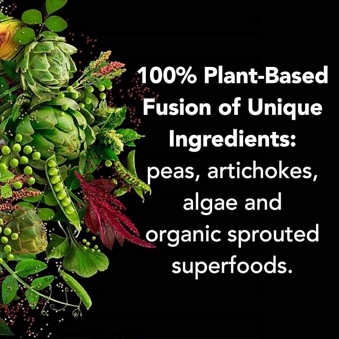 PlantFusion Complete Vegan Protein Powder - Plant Based With BCAAs Digestive Enzymes and Pea Protein - Keto Gluten Free Soy Free Non-Dairy No Sugar Non-GMO - Chocolate 2 lb