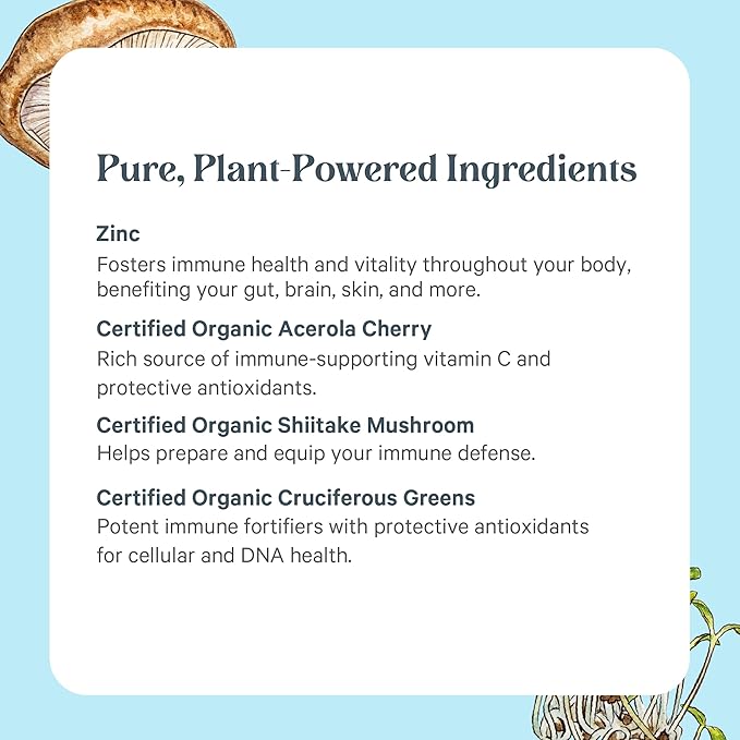PURE SYNERGY Zinc Complex | Immune Support Supplement | Natural Vegan Zinc Complex with Vitamin C and Organic Whole Foods | for Immune Brain and Skin Health (60 Capsules)