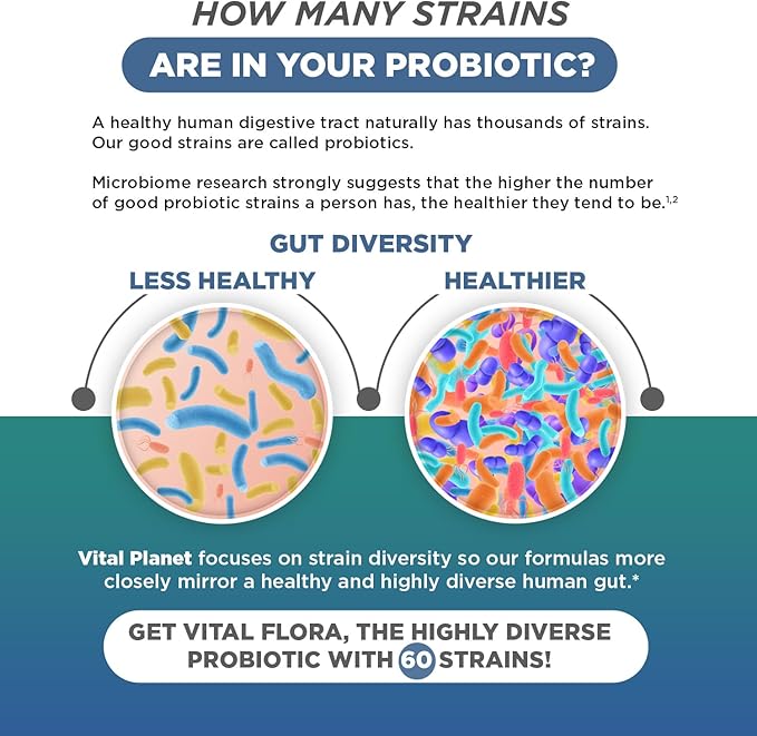 Vital Planet - Vital Flora Men Over 55 Daily Probiotic 60 Billion CFU Diverse Strains Organic Prebiotics Immune Support Digestive Health Shelf Stable Probiotics for Men 30 Capsules