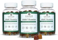 Salaam Nutritionals - Adult Multivitamins Vitamin Gummies for Women and Men Multivitamins for Adults with 11 Essential Vitamins and Minerals 90 Count 3 Packs
