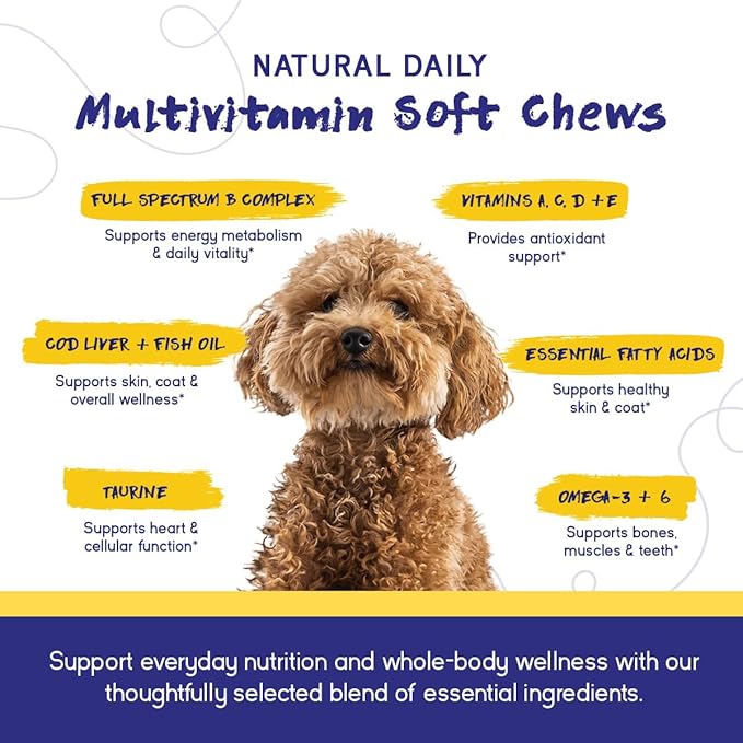 PupGrade Daily Multivitamin for Dogs – All-in-One Supplement with Omega Fish Oil Vitamins A C D E &amp B Complex for Everyday Health – 90 Soft Chews