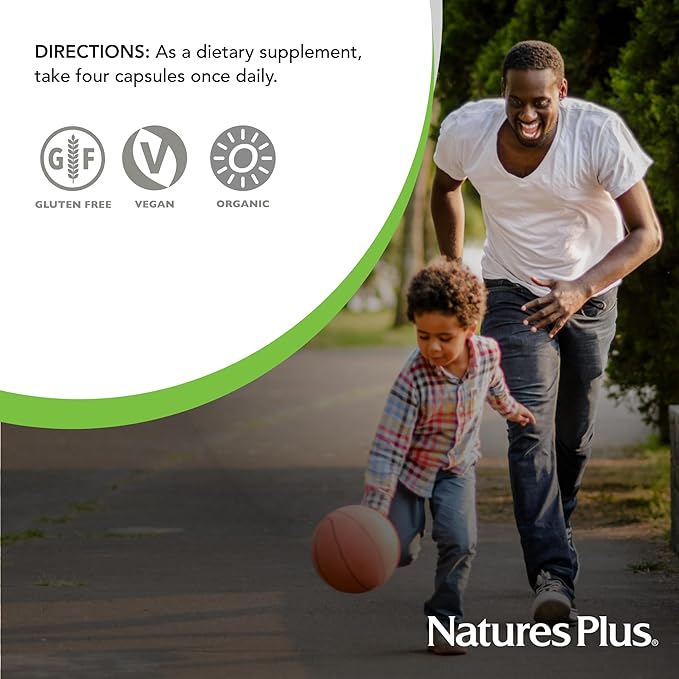 NaturesPlus Source of Life Garden Calcium - 120 Capsules - Calcium Supplement with Magnesium &amp 20 Whole-Food Extracts - USDA Certified Organic Non-GMO Vegan Gluten Free - 30 Servings